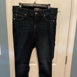 Like New Size 16R Torrid Bombshell Skinny Premium Stretch Jeans dark wash